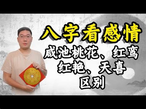 紅艷桃花查詢|紅艷桃花是什麼意思